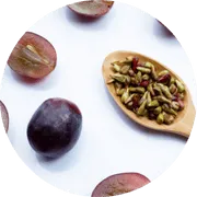 Grape Seed Extract